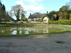 The pond at Ashmore